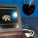 Illustration for article titled Intel Has Made a Processor That's Powered By Wine